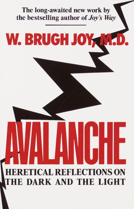 W. Brugh Joy/Avalanche@ Heretical Reflections on the Dark and the Light